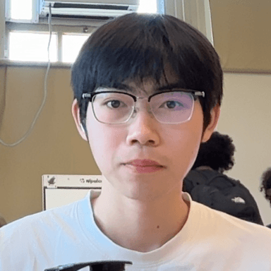 Zheng L.